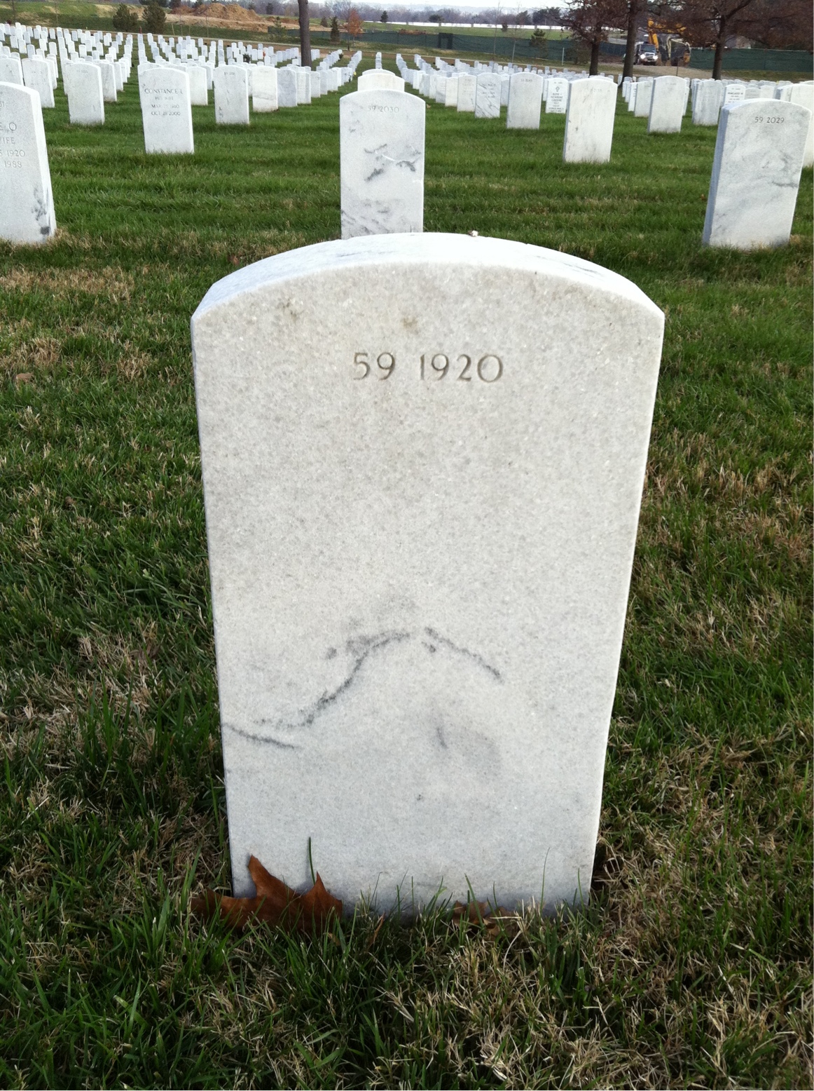 Back of headstone — William Mcnelly