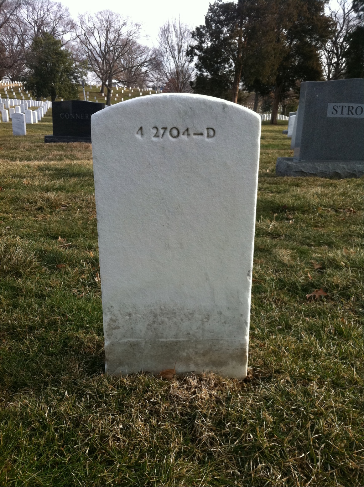 Back of headstone — Sally Moriarty
