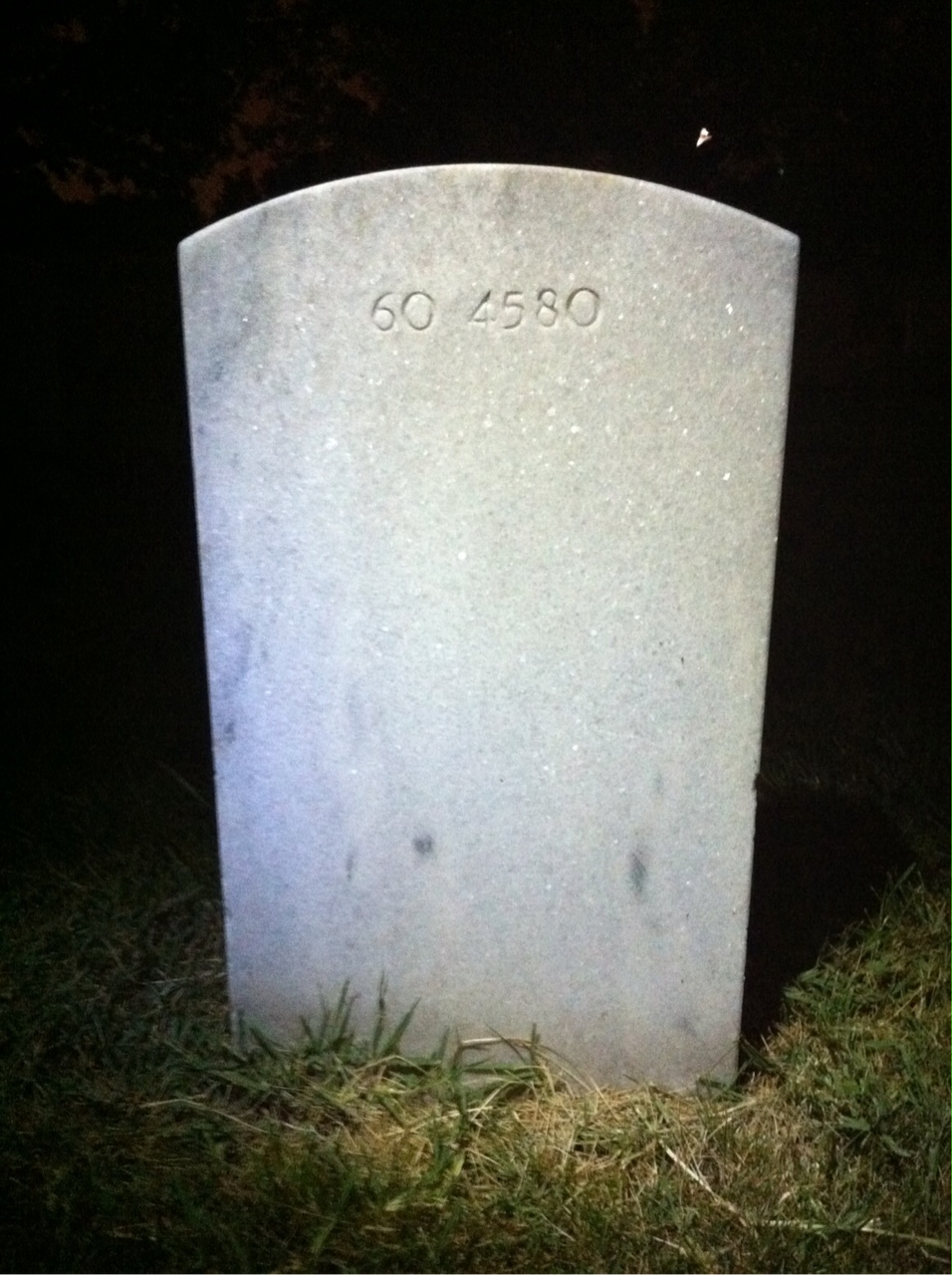 Back of headstone — Walter Reed Davis