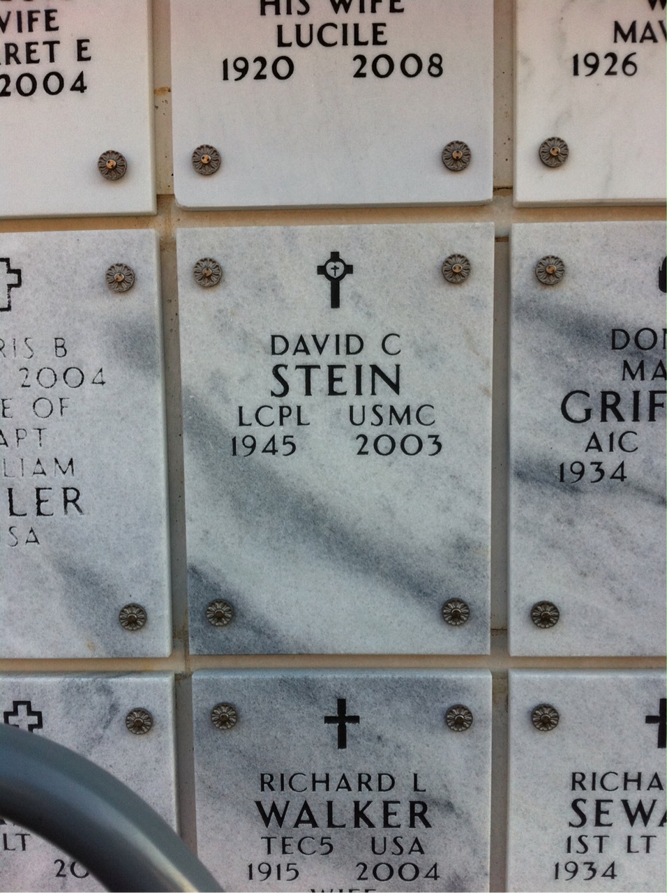 David Stein