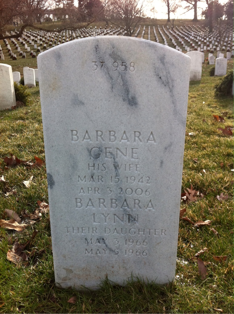 Back of headstone — Edgar Branch