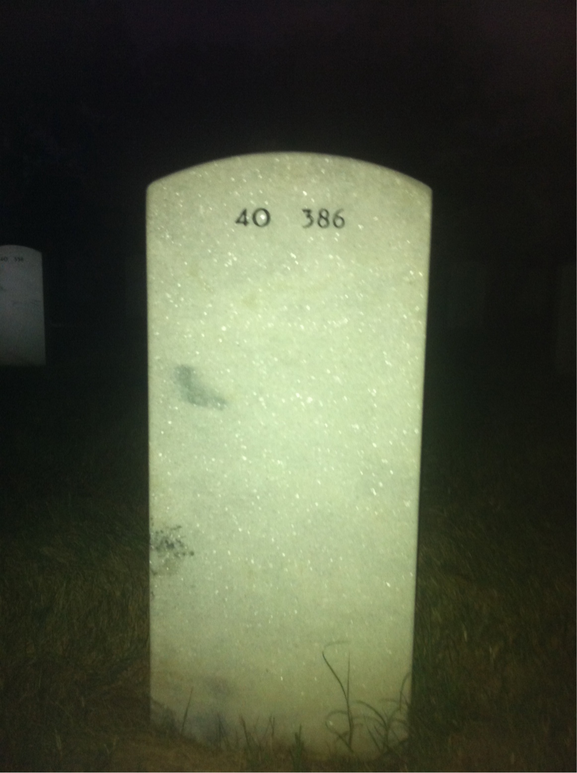 Back of headstone — James Troglin