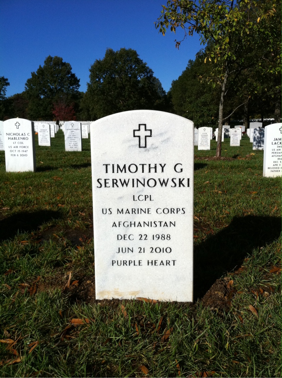 Timothy Serwinowski