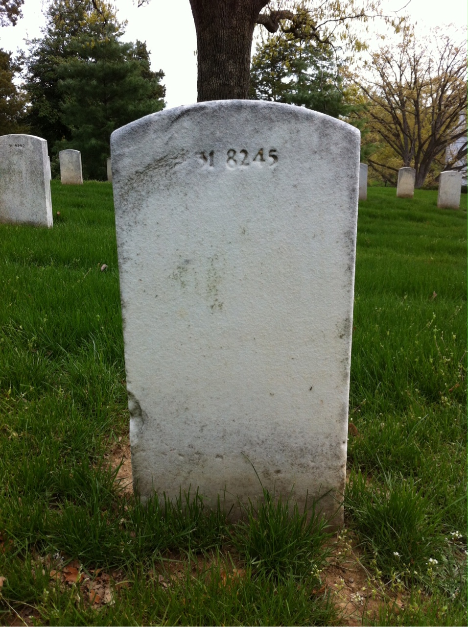 Back of headstone — Tennie Adkison