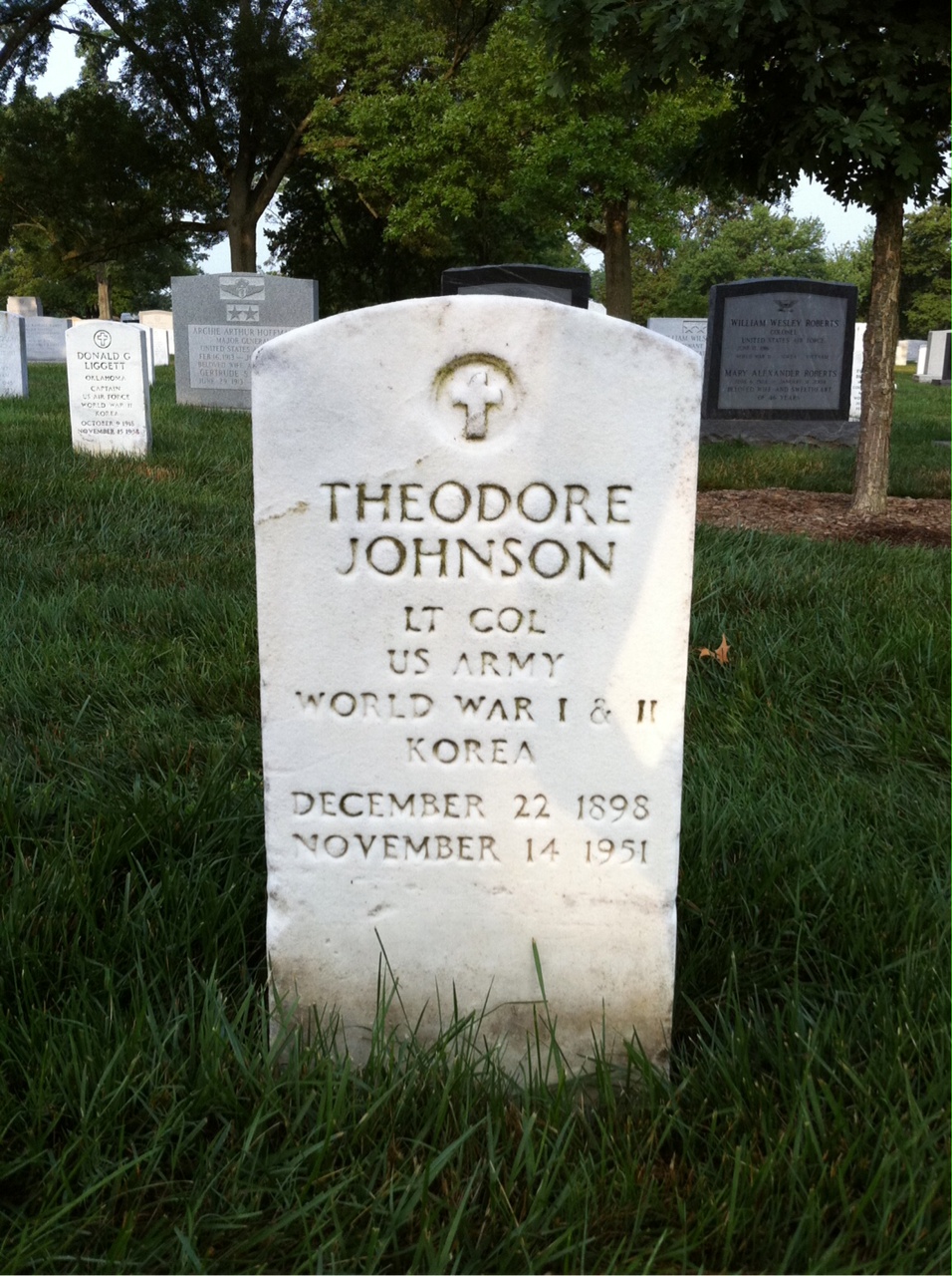 Theodore William Johnson