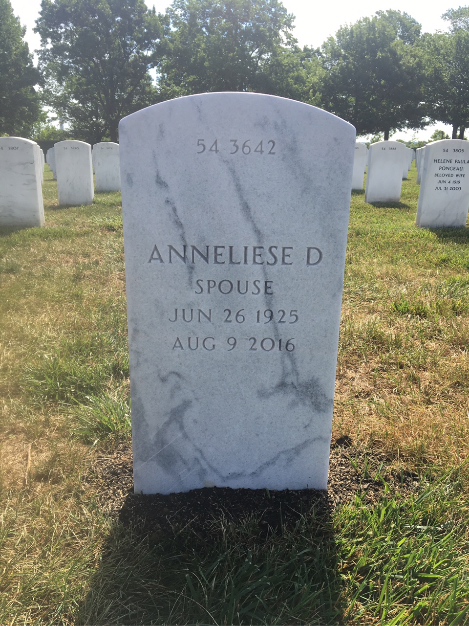 Back of headstone — Roberto Doss