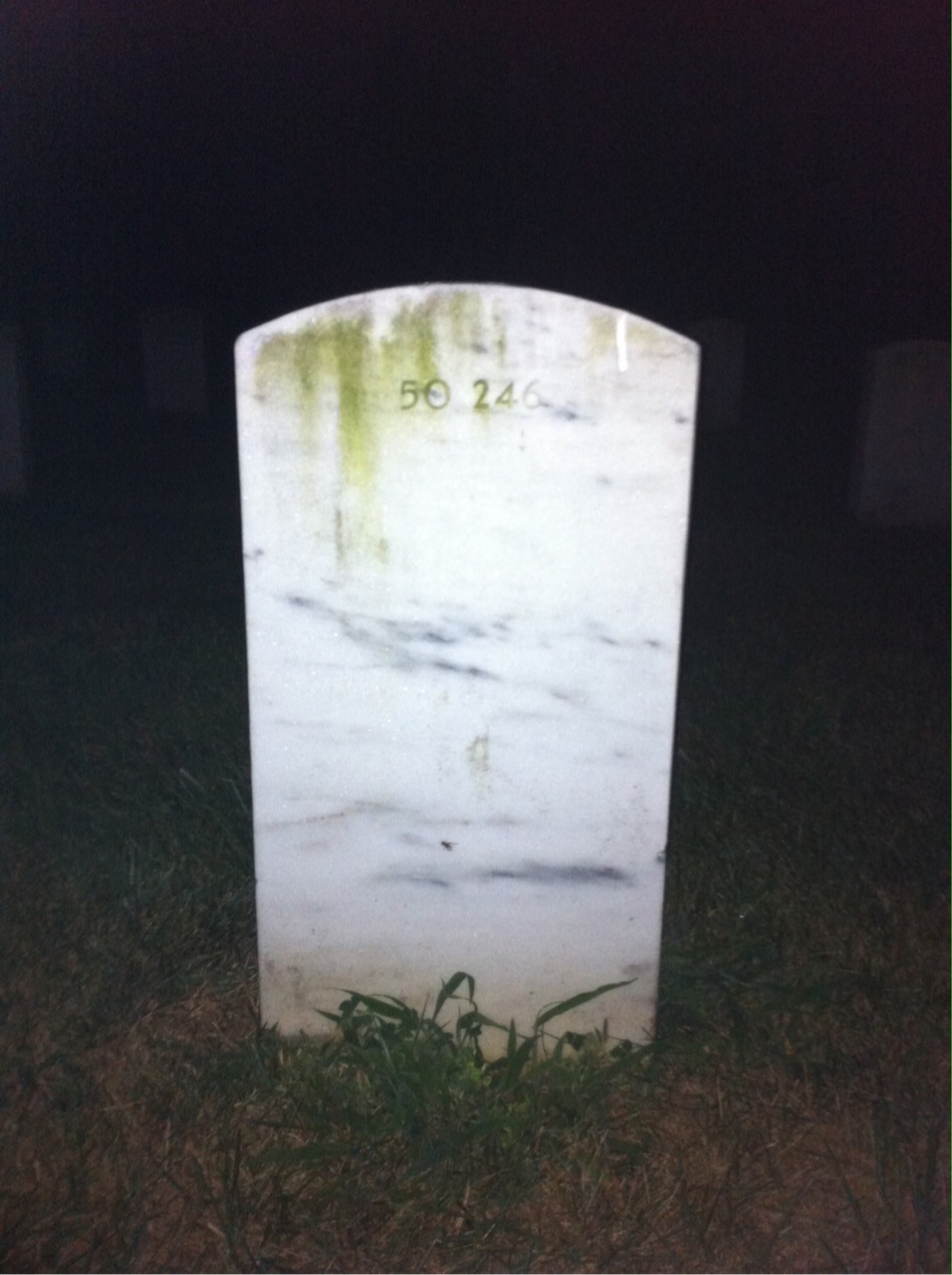 Back of headstone — Willard Chester Wright