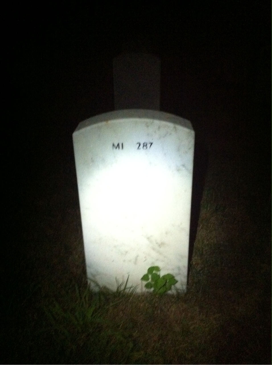 Back of headstone — James Pflager