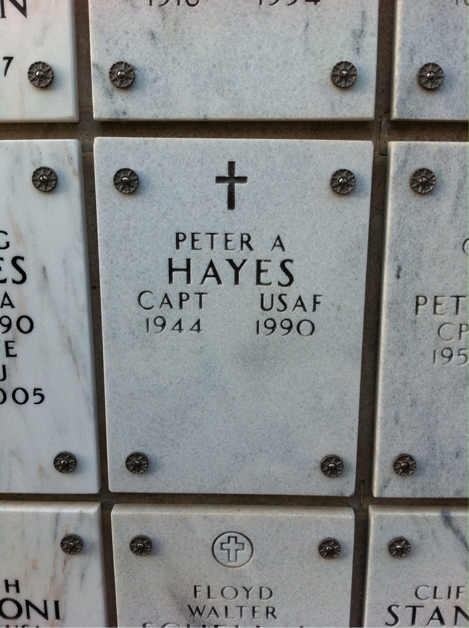 Peter A Hayes