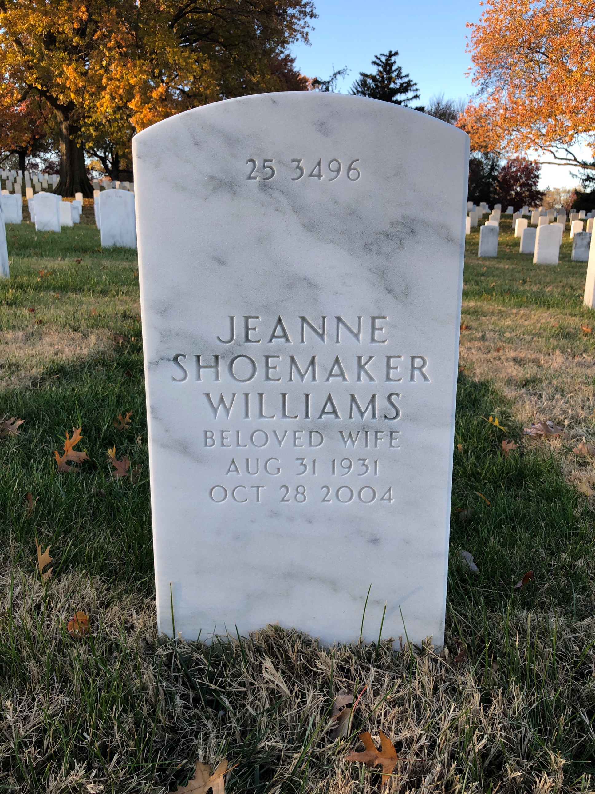 Back of headstone — Thomas Williams