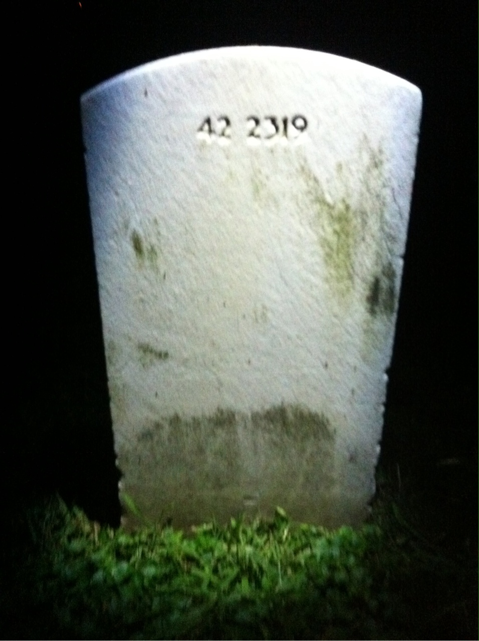 Back of headstone — Alfred Anderson