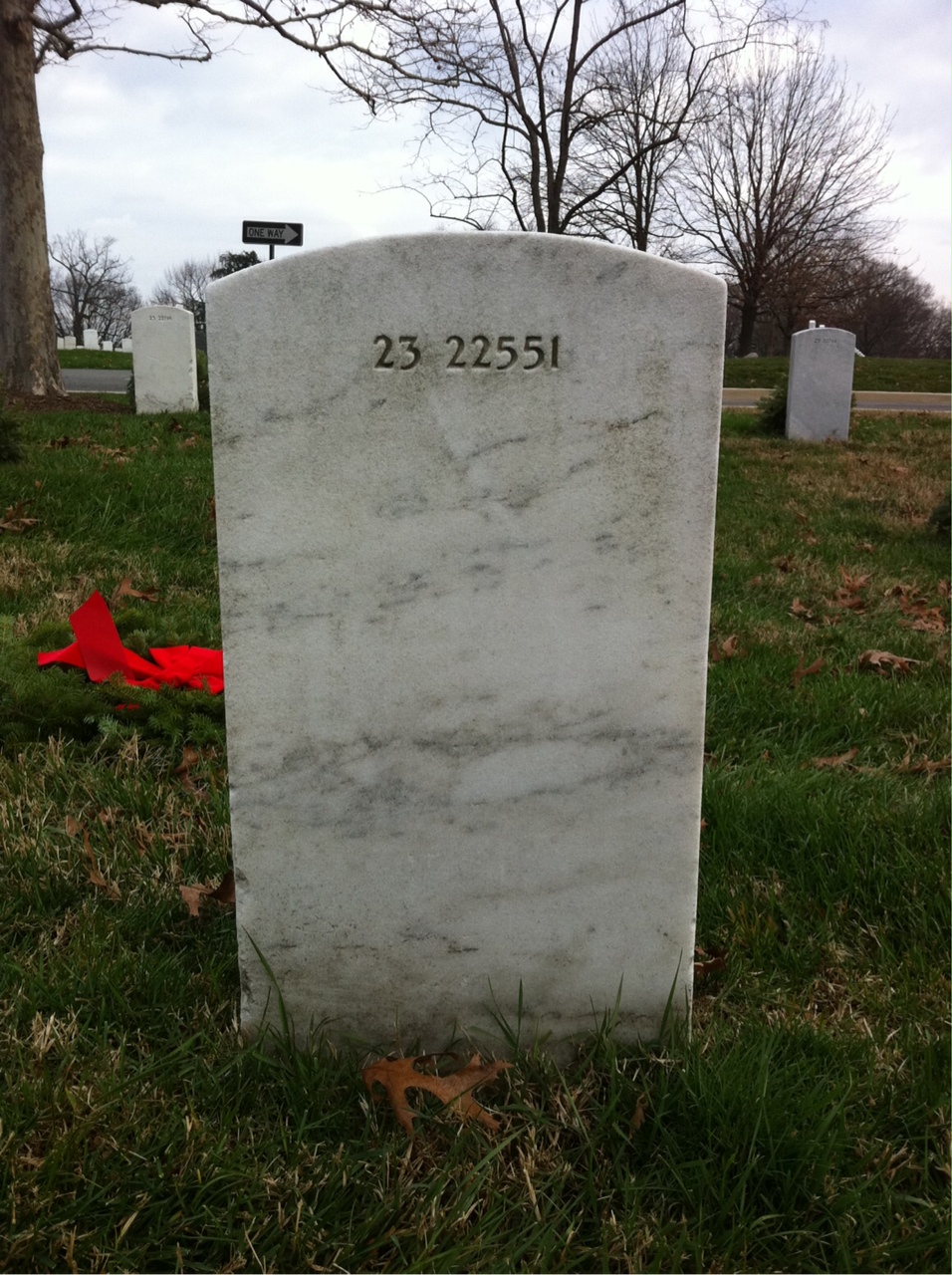 Back of headstone — Teelio Alston