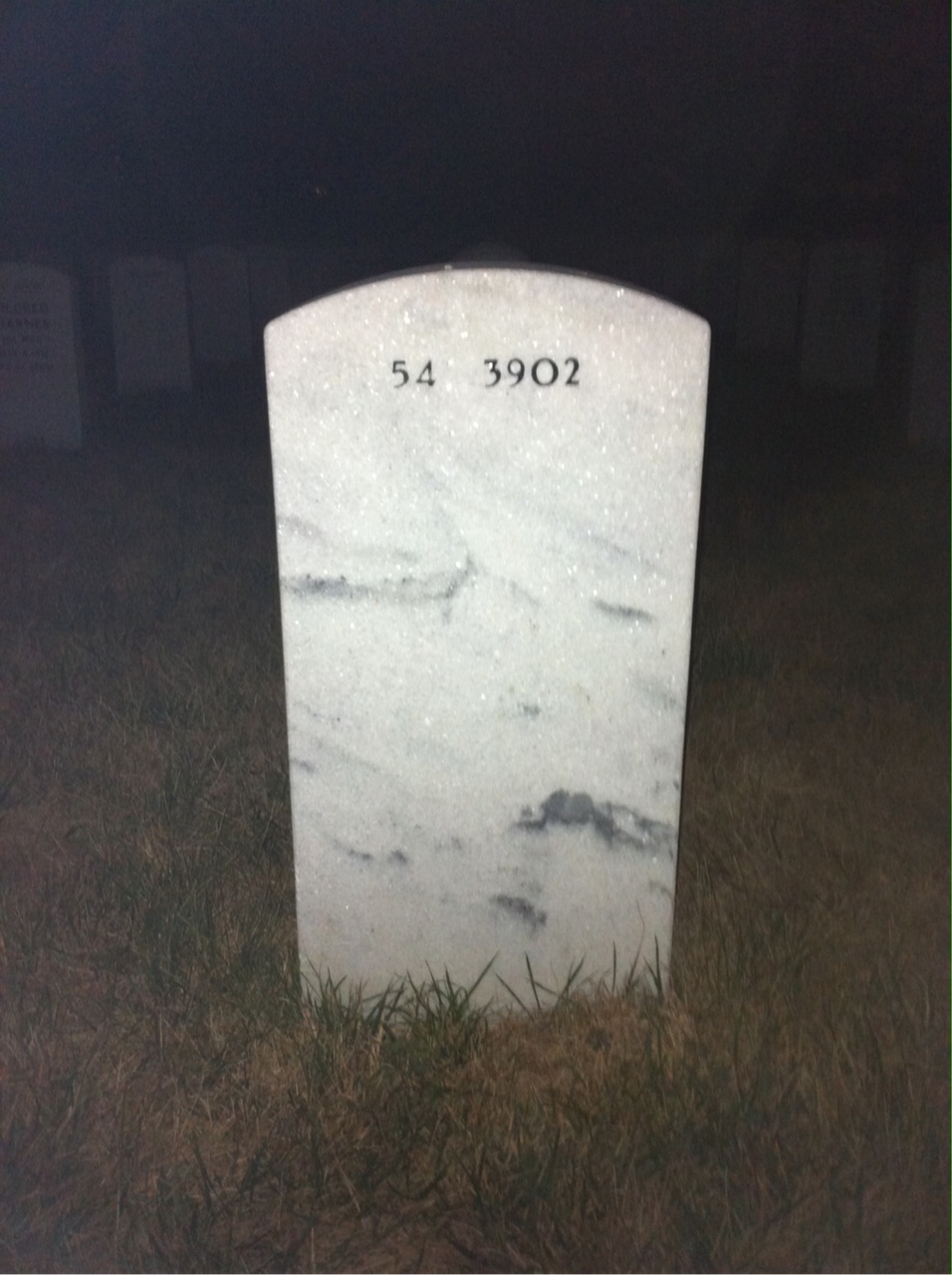 Back of headstone — Wayne Billig