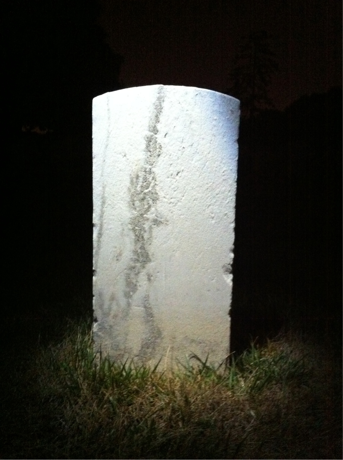 Back of headstone — Greenville Alexander