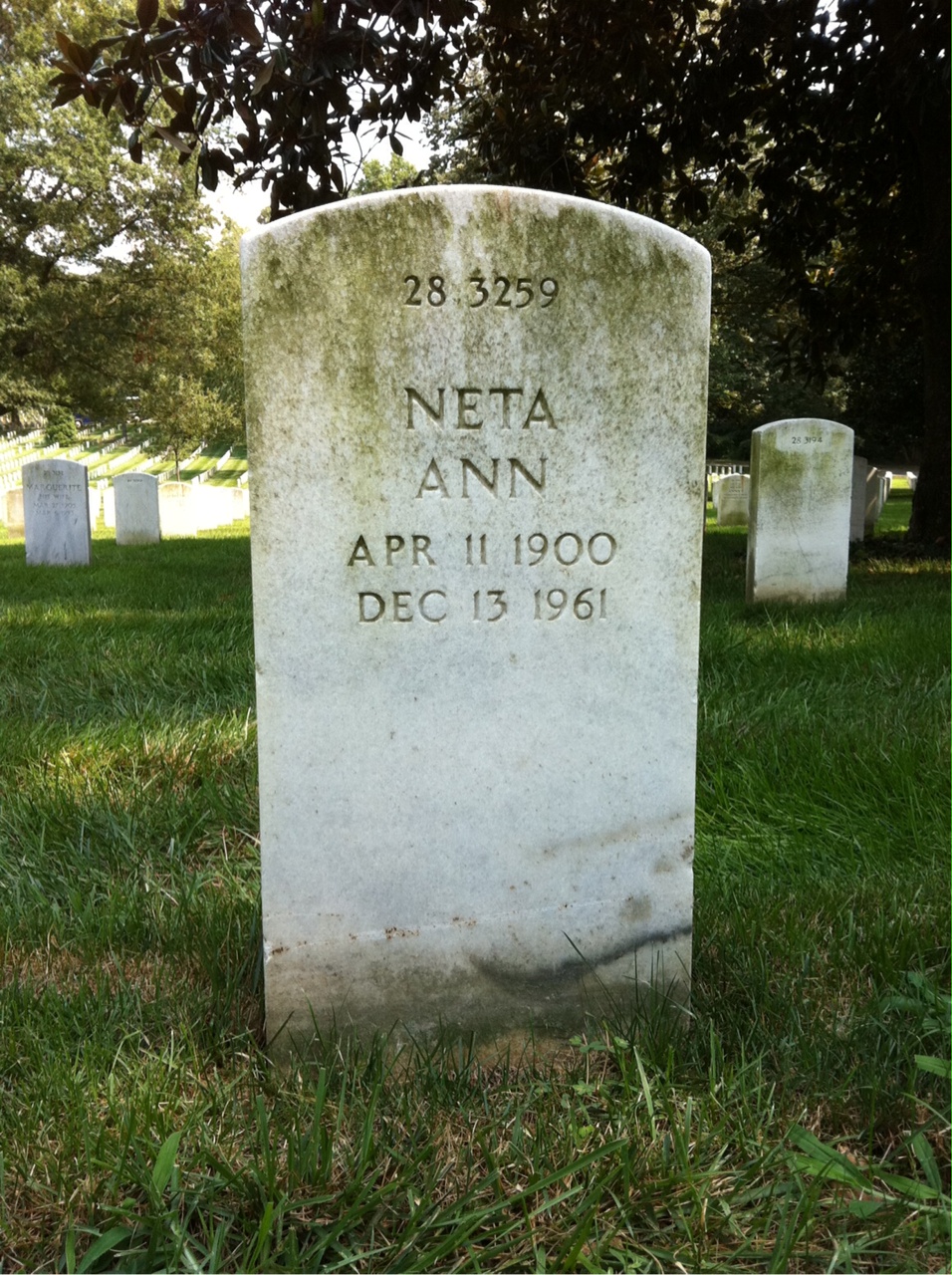 Back of headstone — Theodore R Dickens