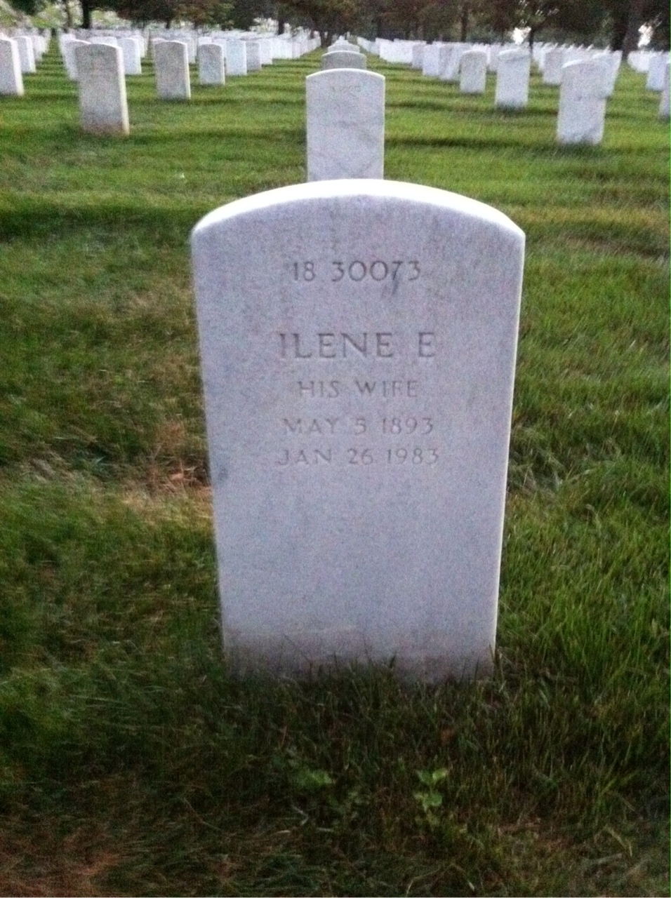 Back of headstone — James Murphy