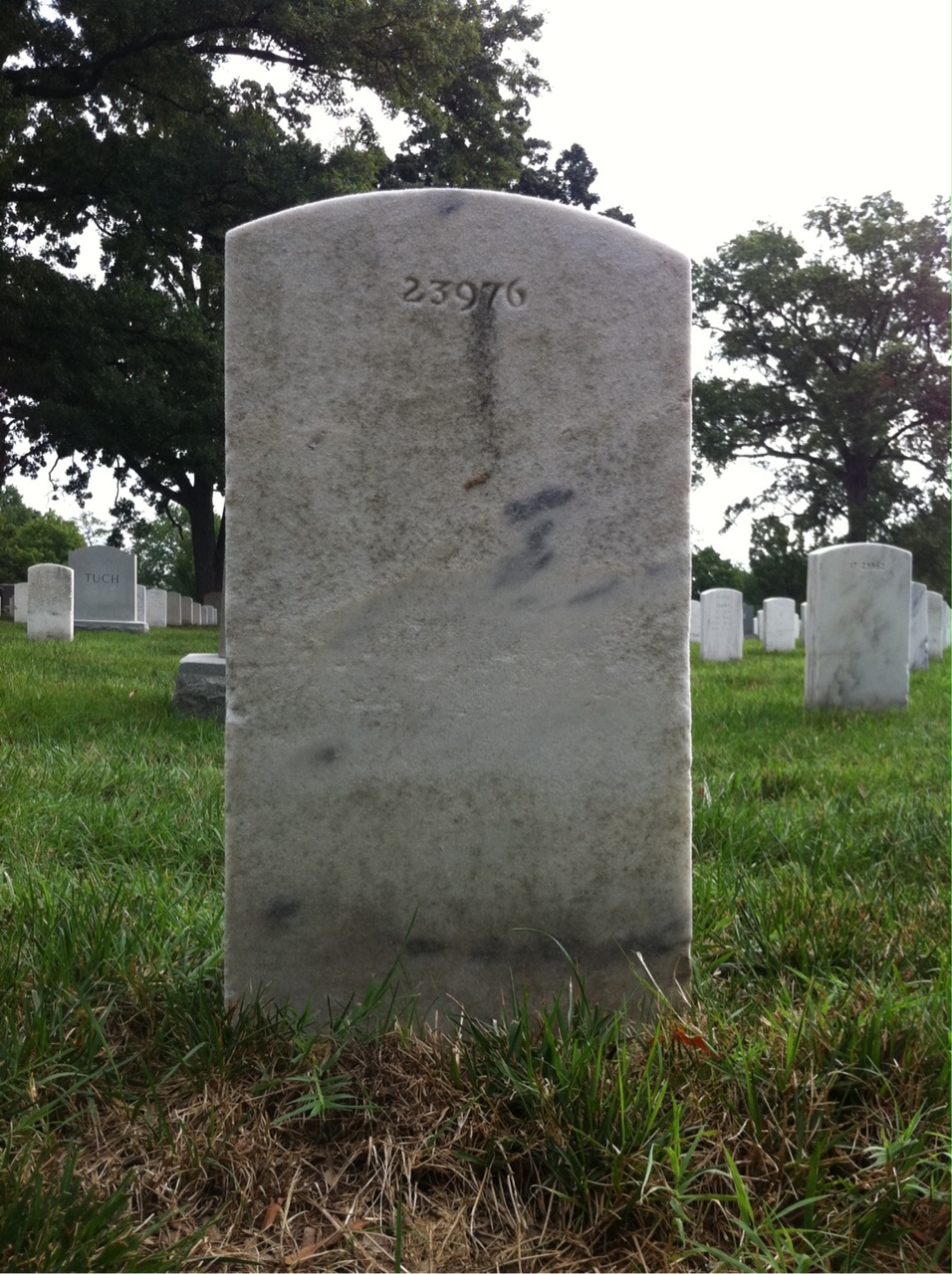 Back of headstone — Aloysius Auth
