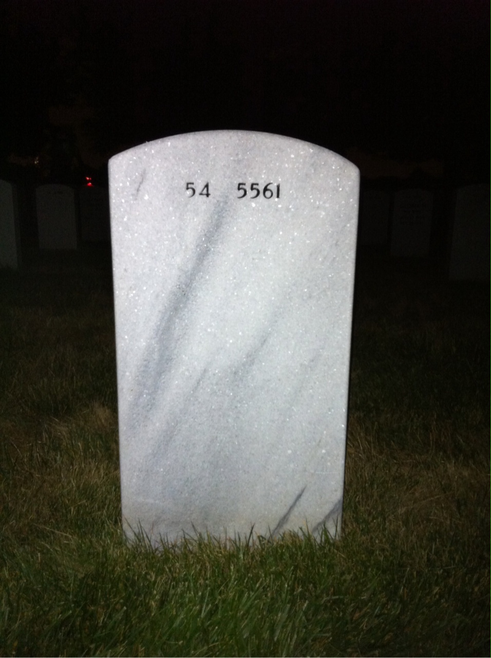 Back of headstone — Albert Liming
