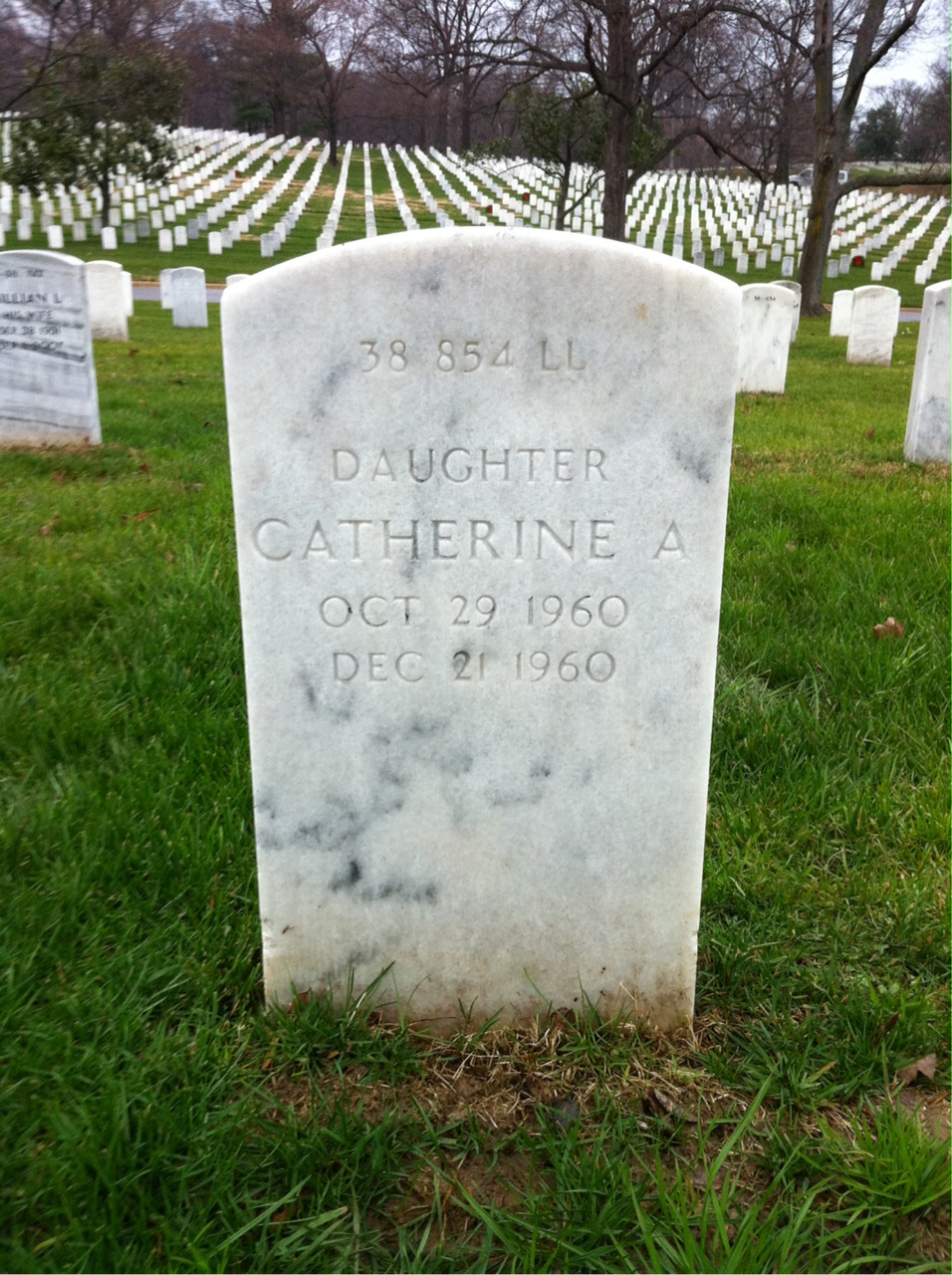 Back of headstone — John Park
