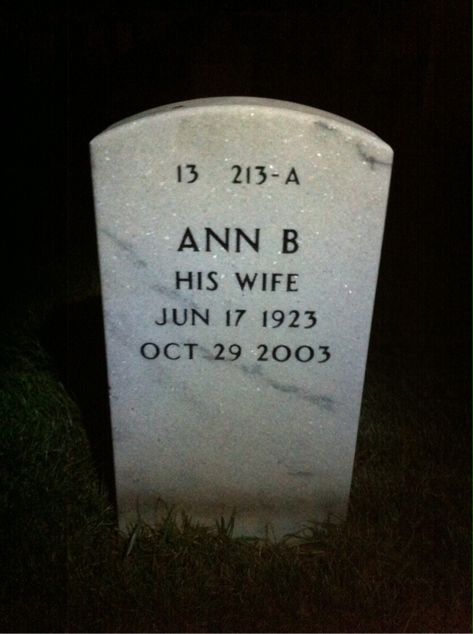Back of headstone — Wilson Puryear