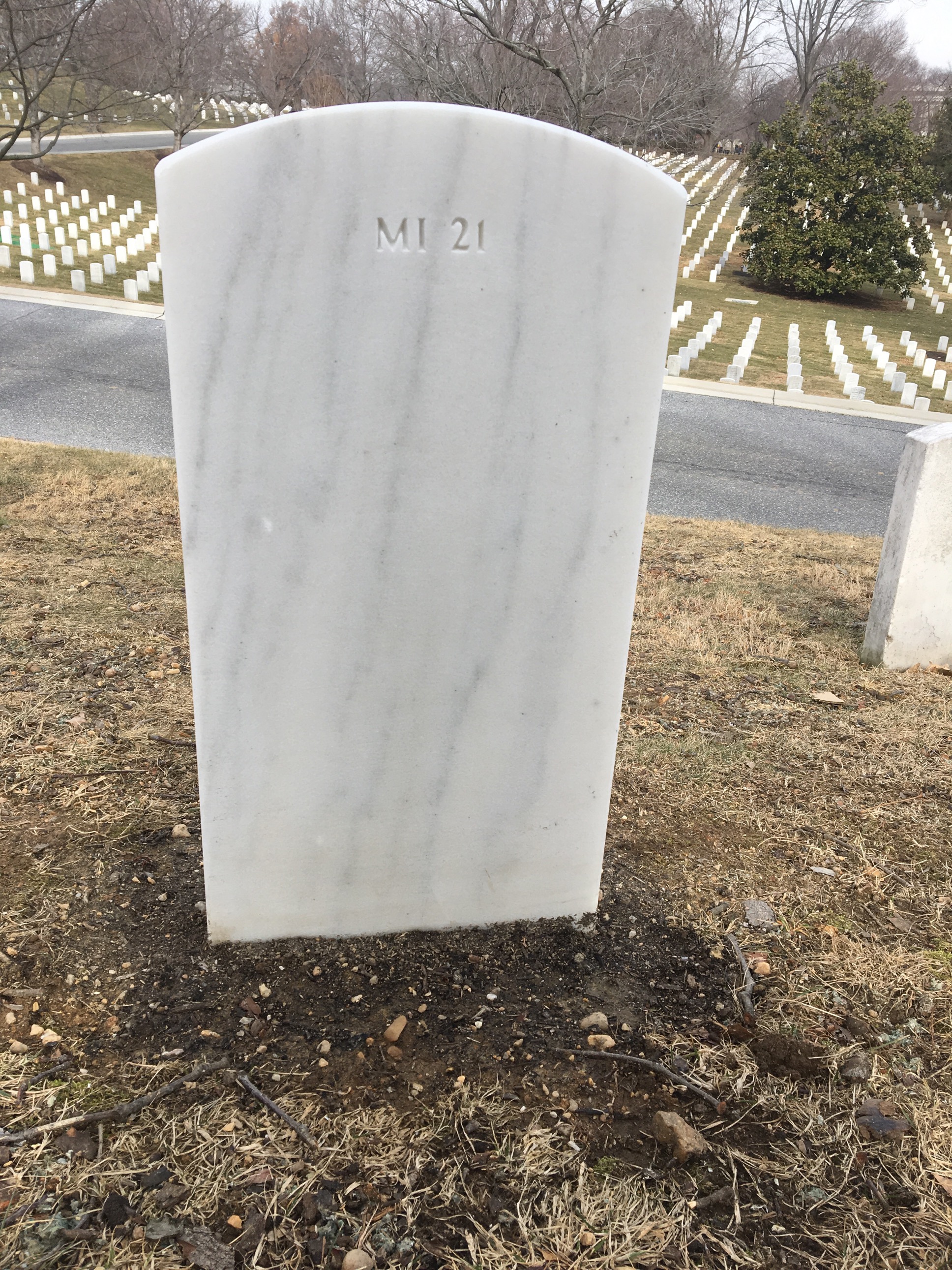 Back of headstone — Jesse Brown