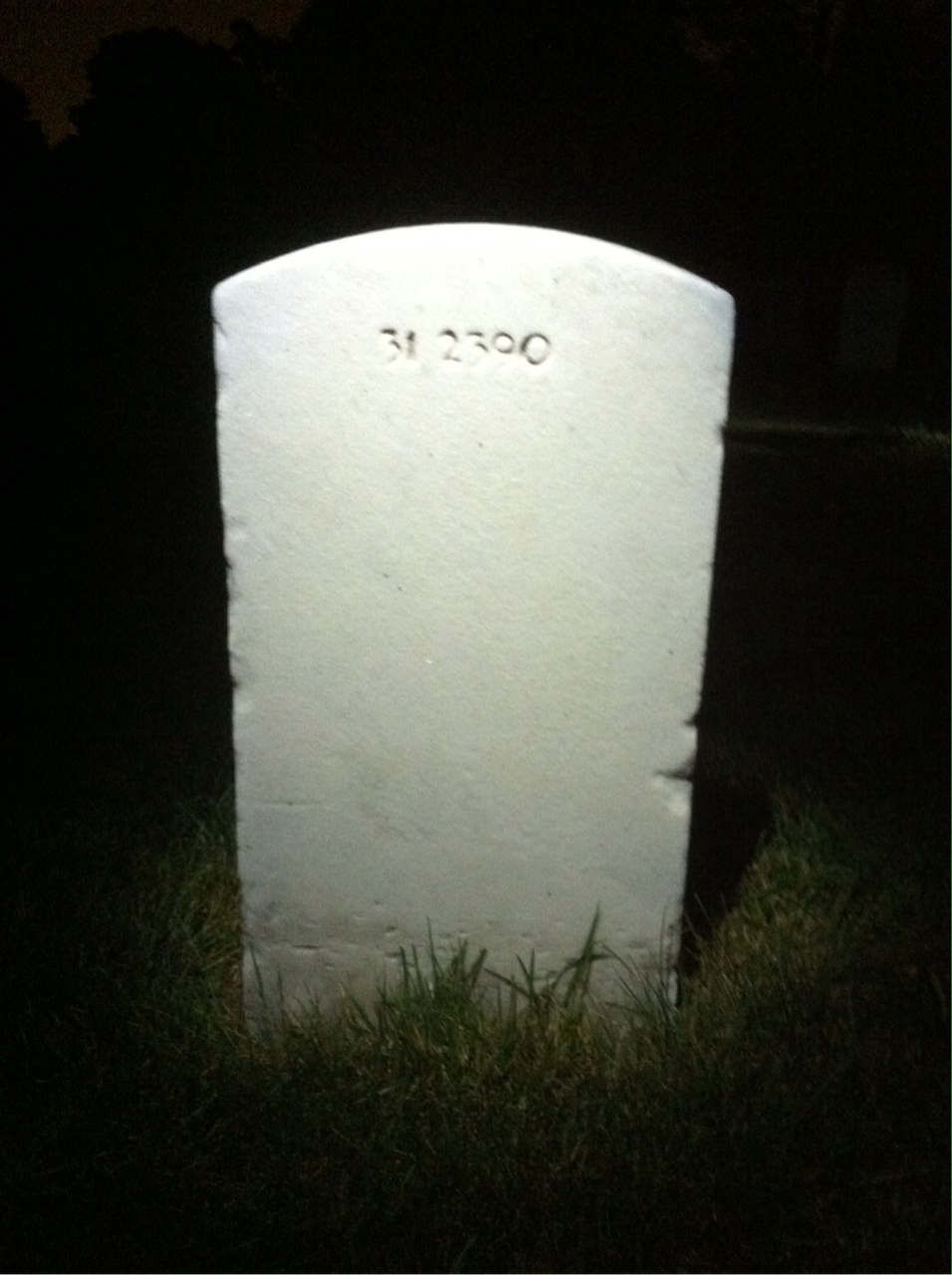 Back of headstone — Harry Albright
