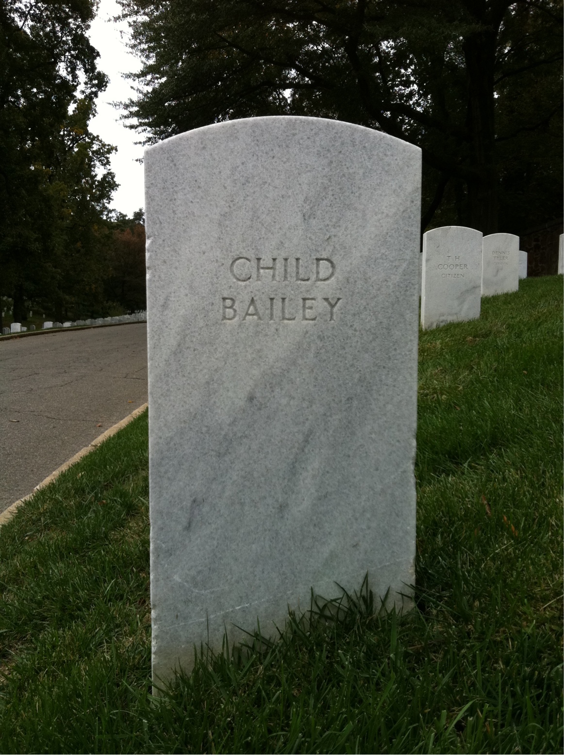 Not Captured Bailey