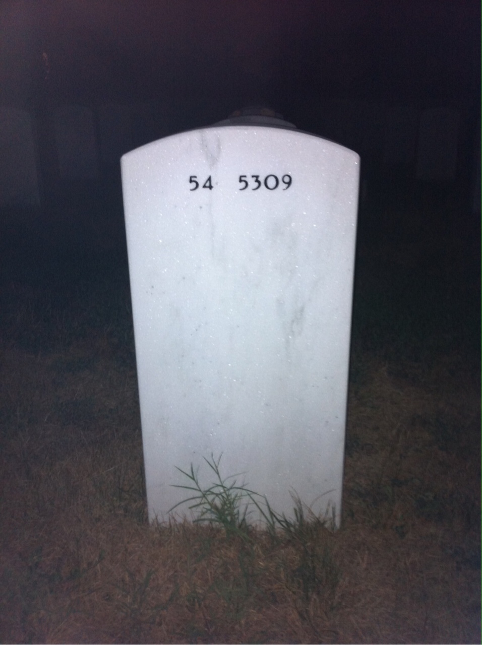 Back of headstone — James Mckissick