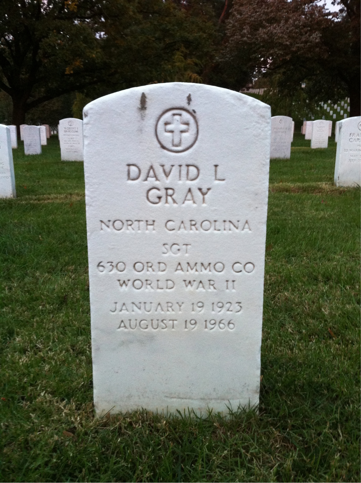 David A Gray
