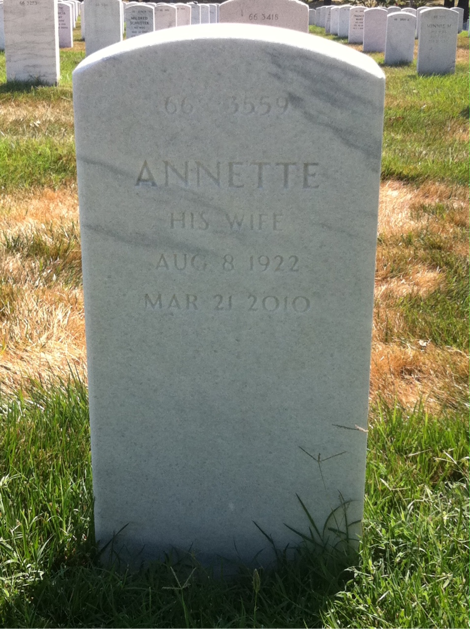 Back of headstone — Forest Noles