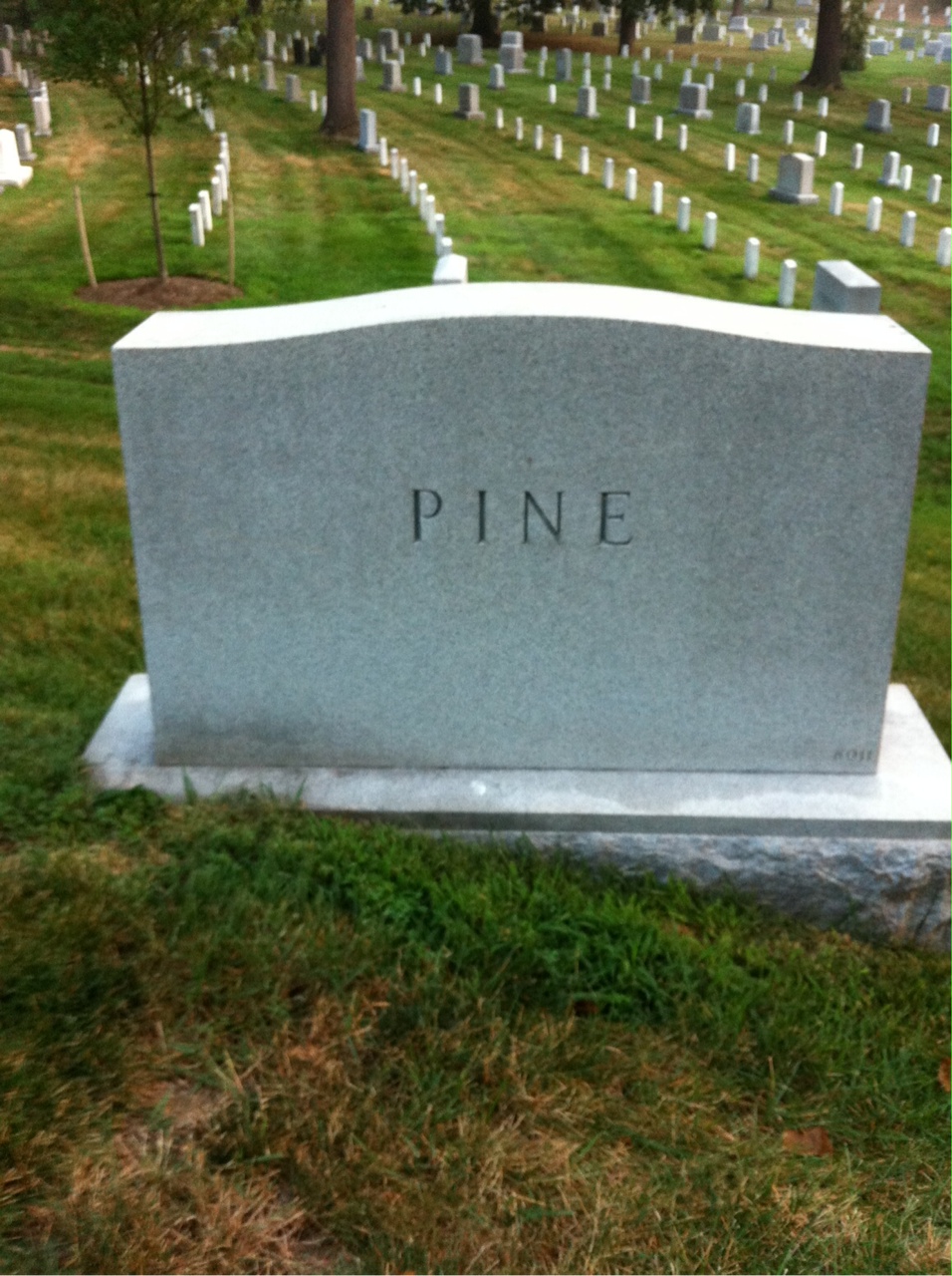 Back of headstone — James Pine