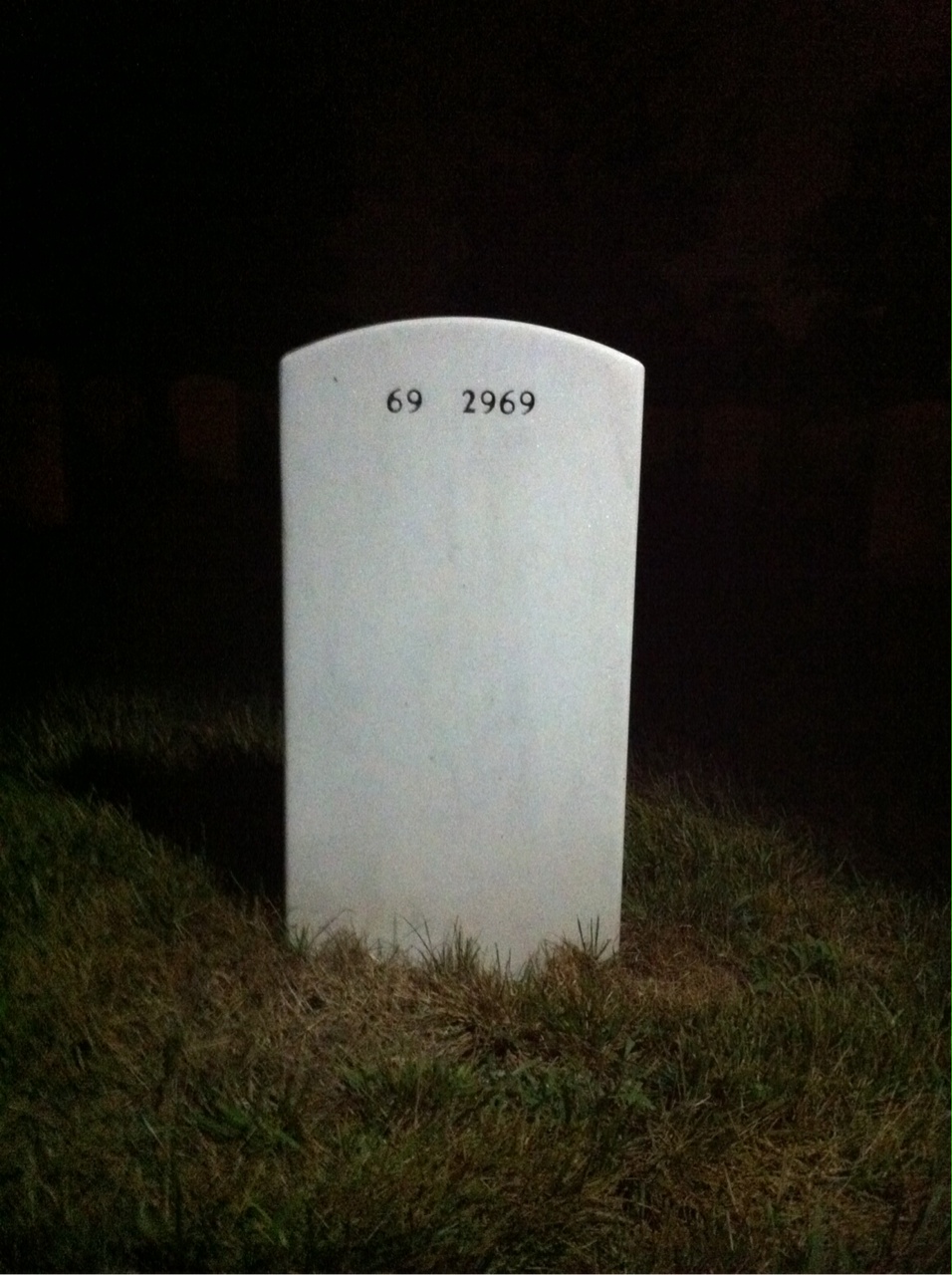 Back of headstone — Harry Lee