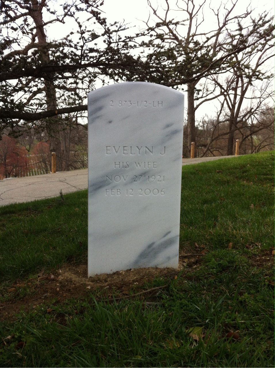 Back of headstone — Henry Sylvia