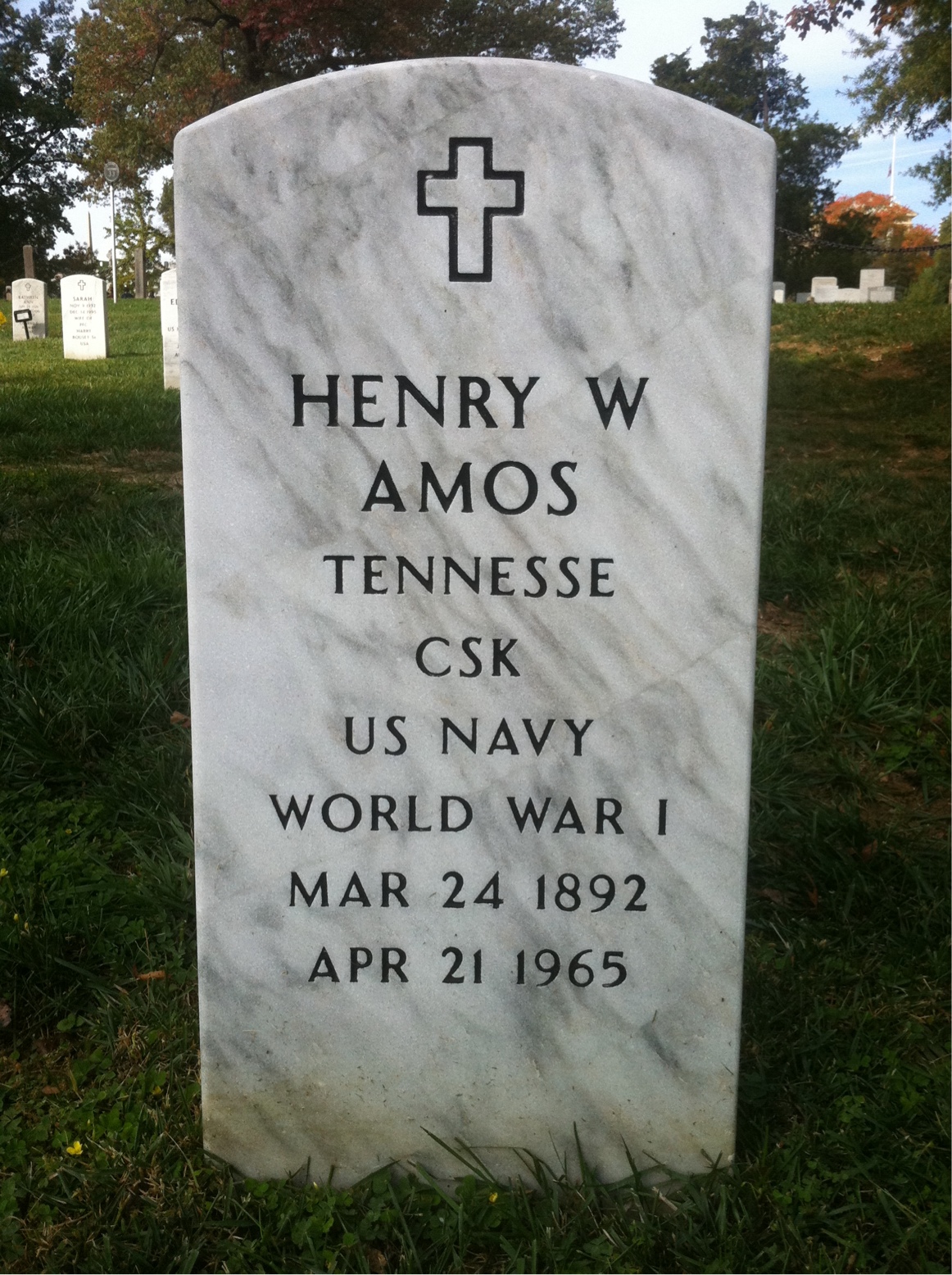 Henry Amos