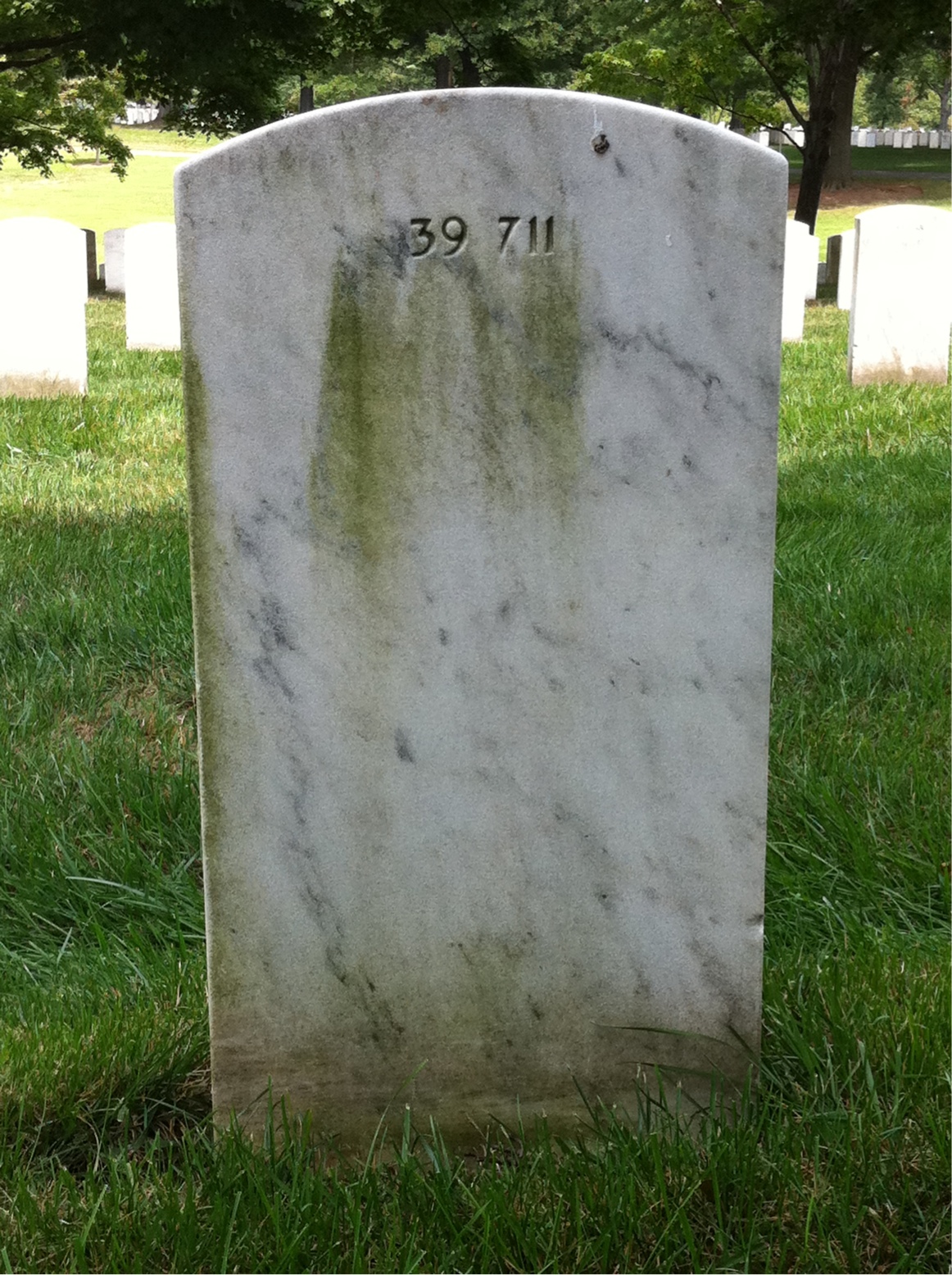 Back of headstone — Alexine Ashley