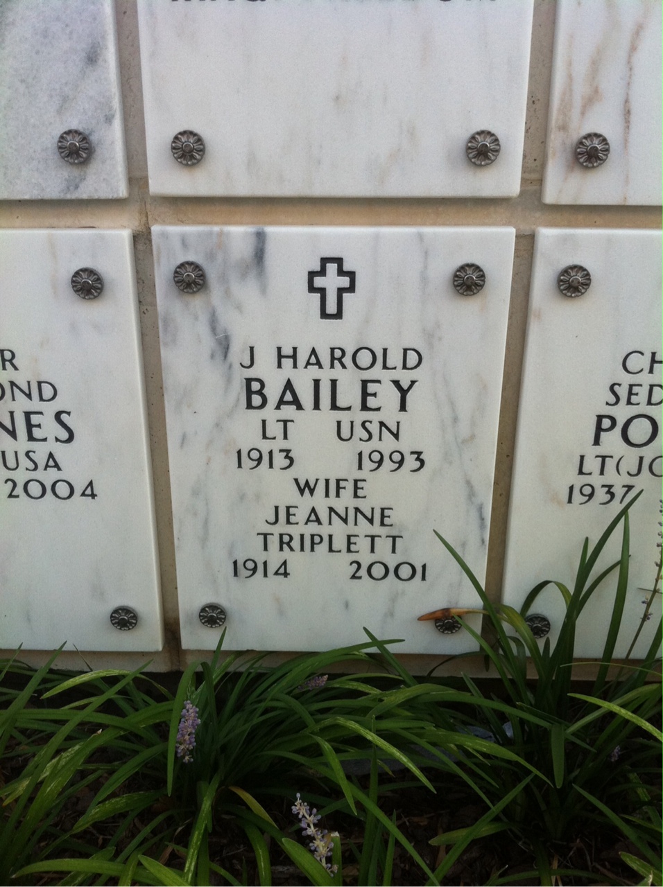 Harold Bailey