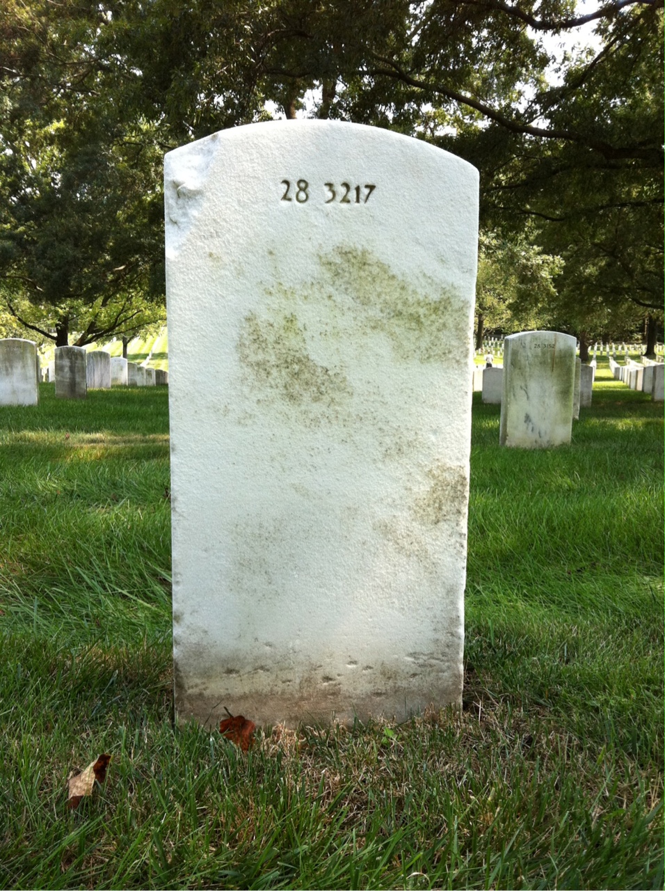 Back of headstone — Arch Morgan