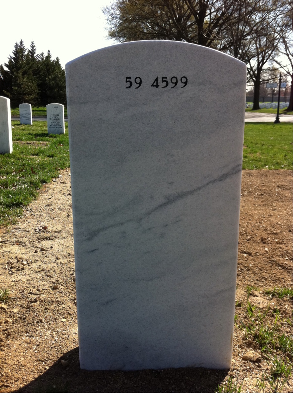 Back of headstone — William Norvill Puckett