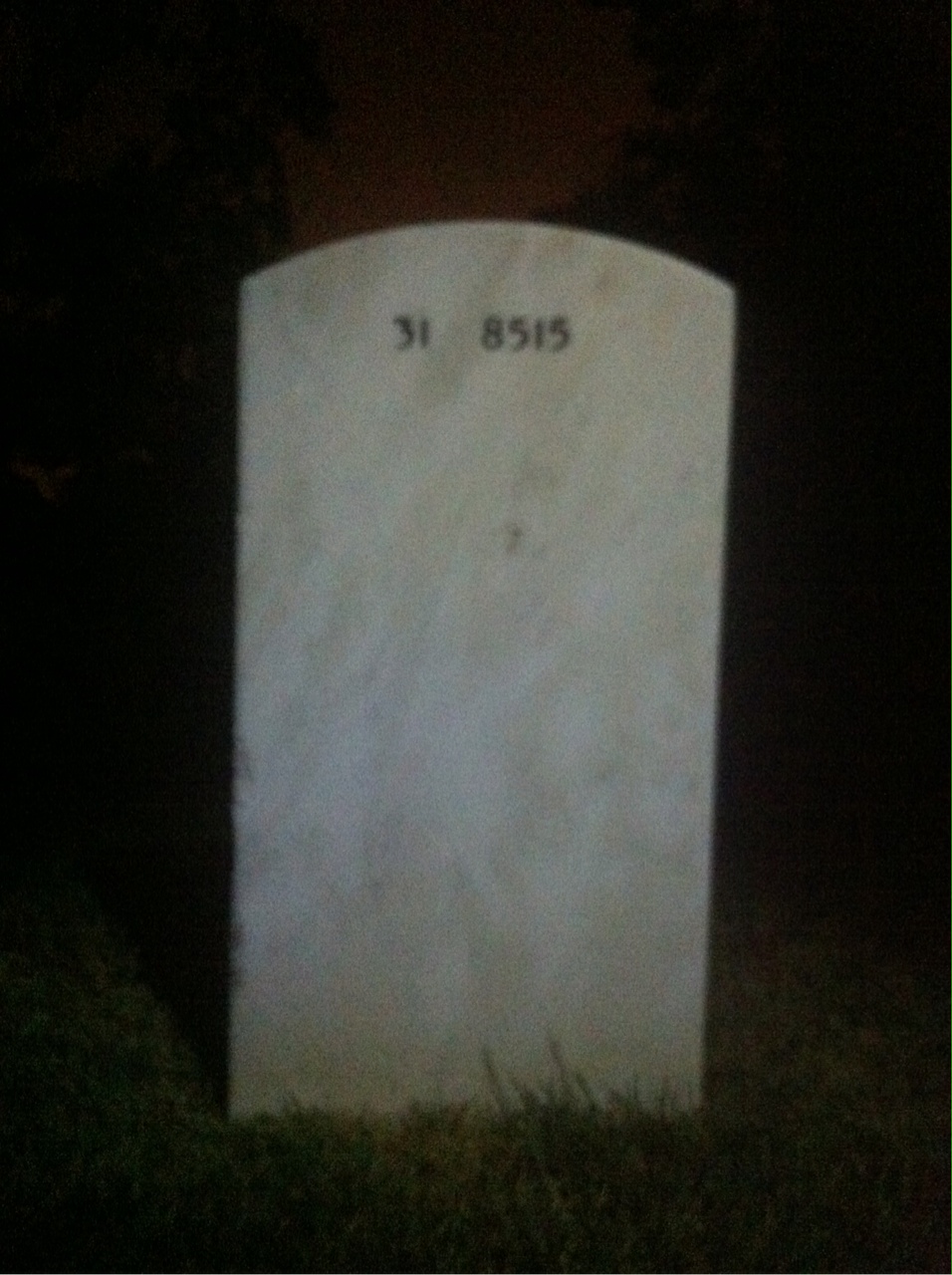 Back of headstone — Stanley Vest