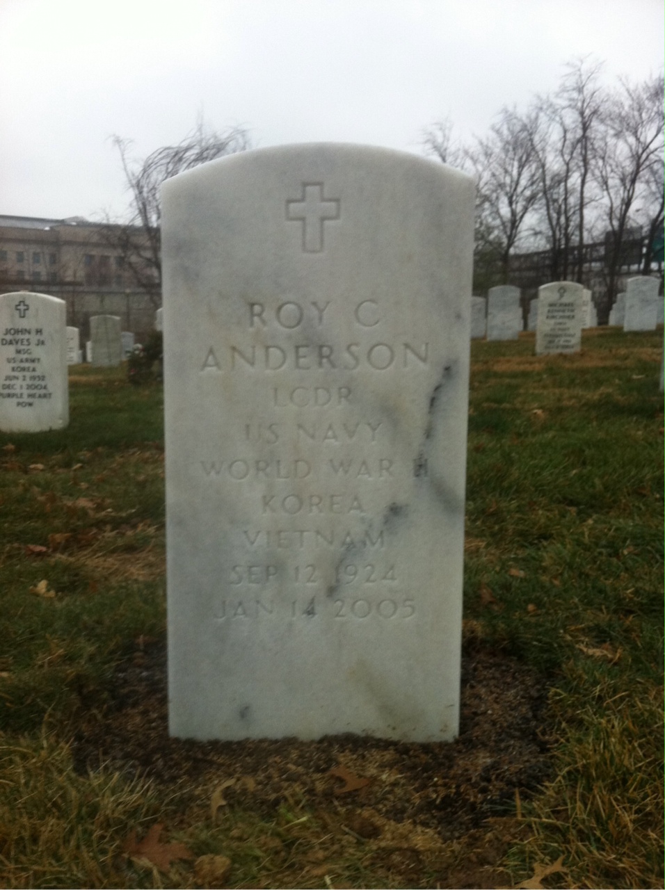 Roy Anderson