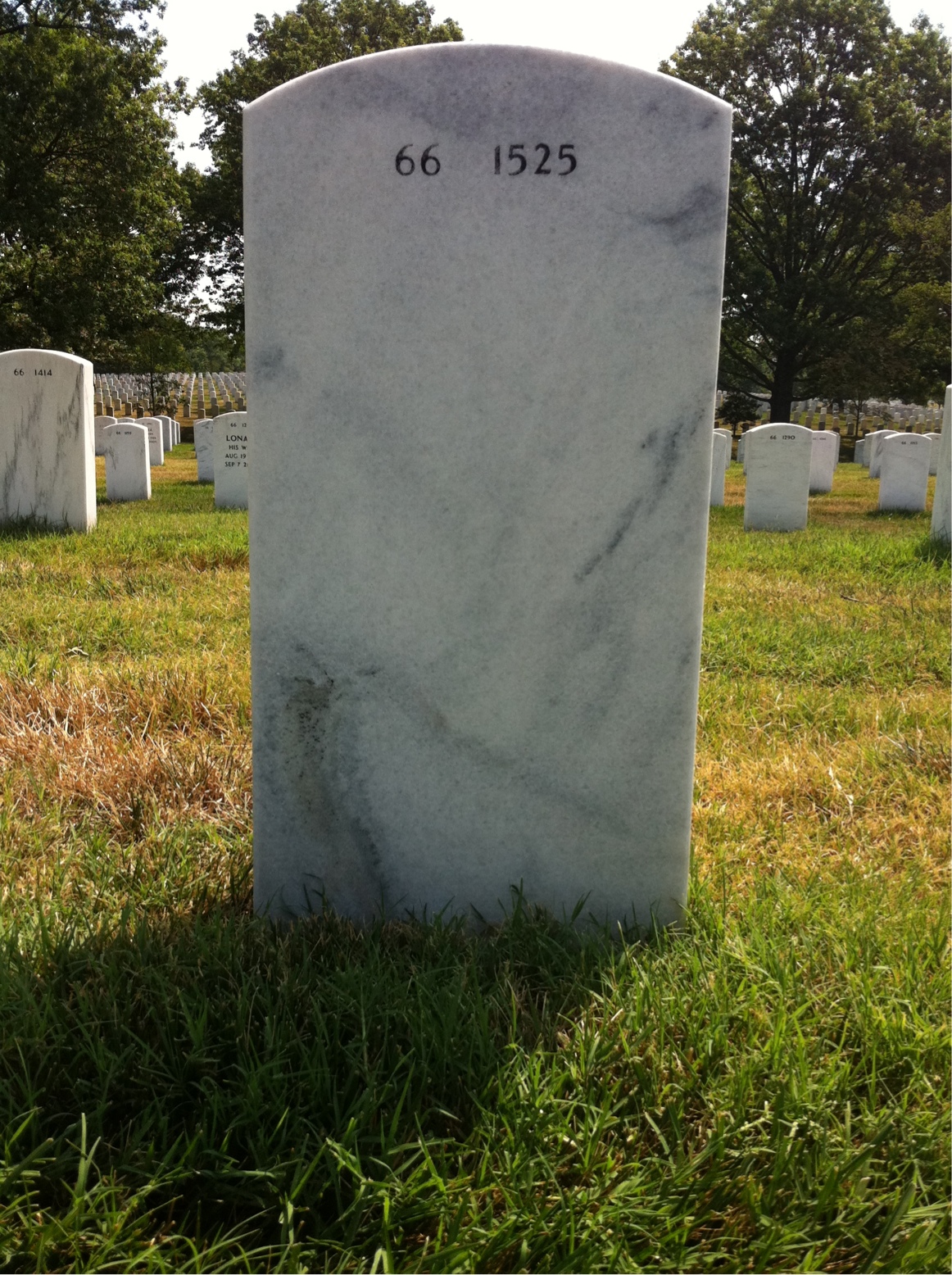 Back of headstone — Lewis Wendell