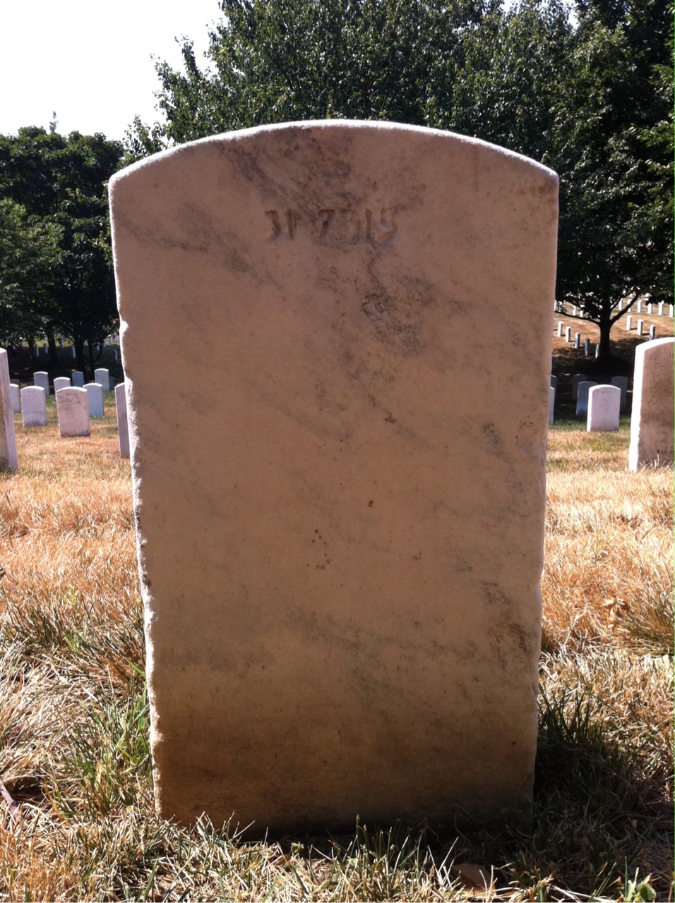 Back of headstone — Willie Jenkins