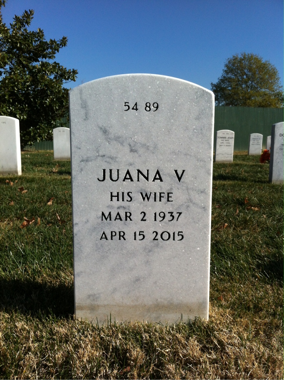 Back of headstone — Alonzo Mccormick