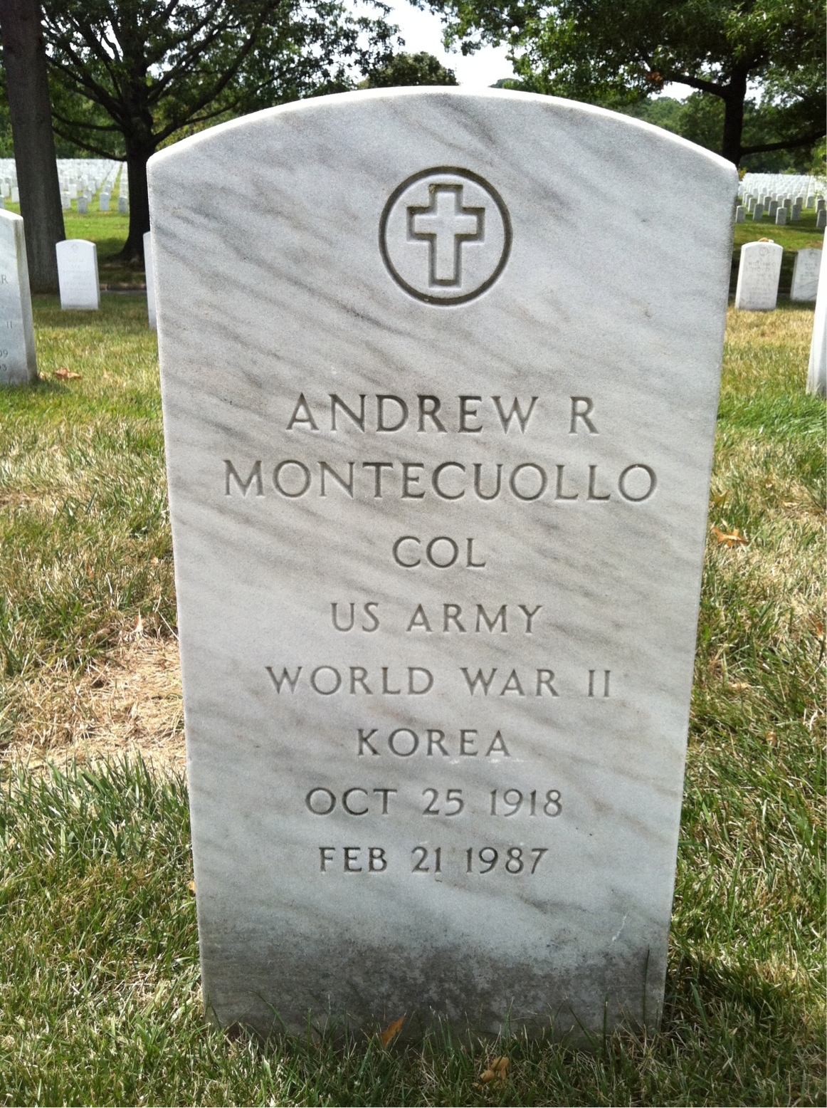 Andrew Montecuollo