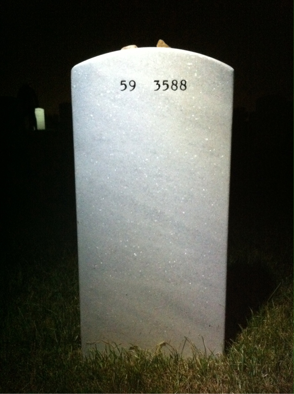 Back of headstone — Harry Lee