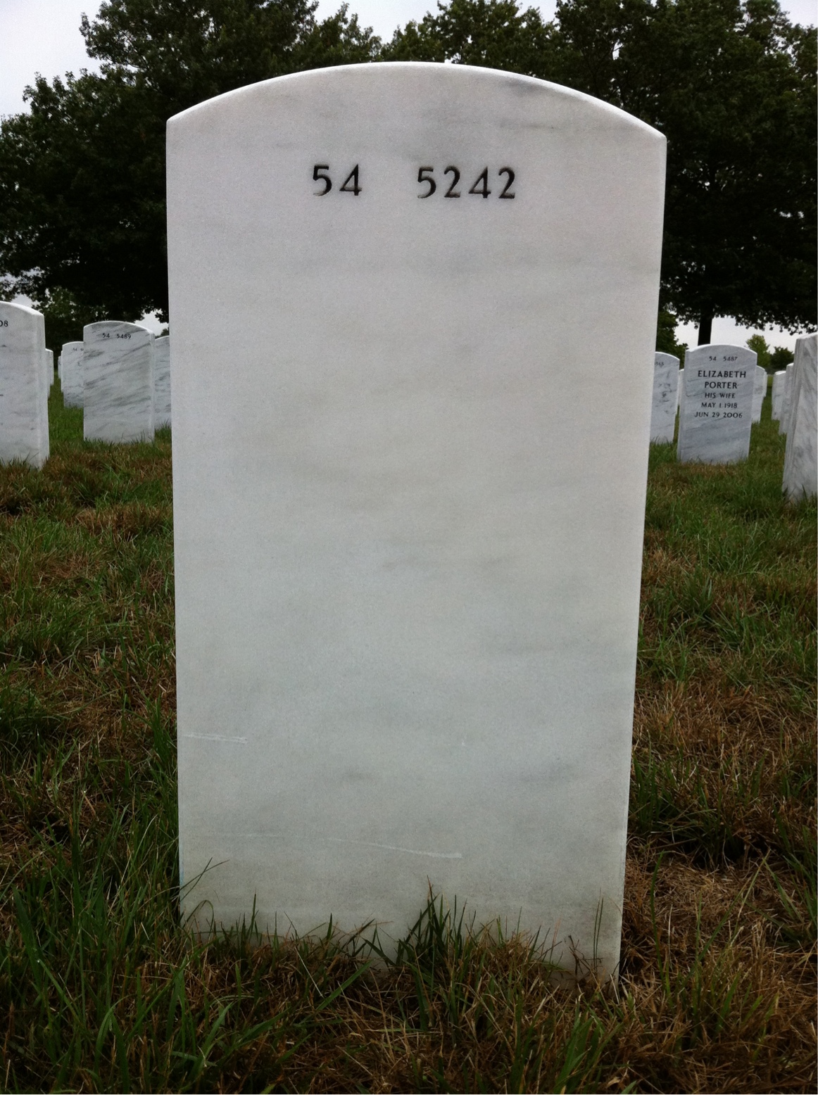 Back of headstone — Wayne Serafini