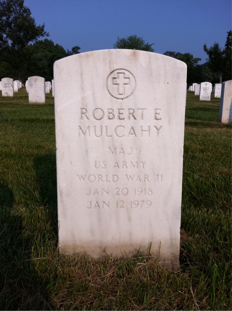 Robert Mulcahy