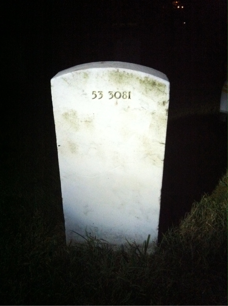 Back of headstone — William Morrissy