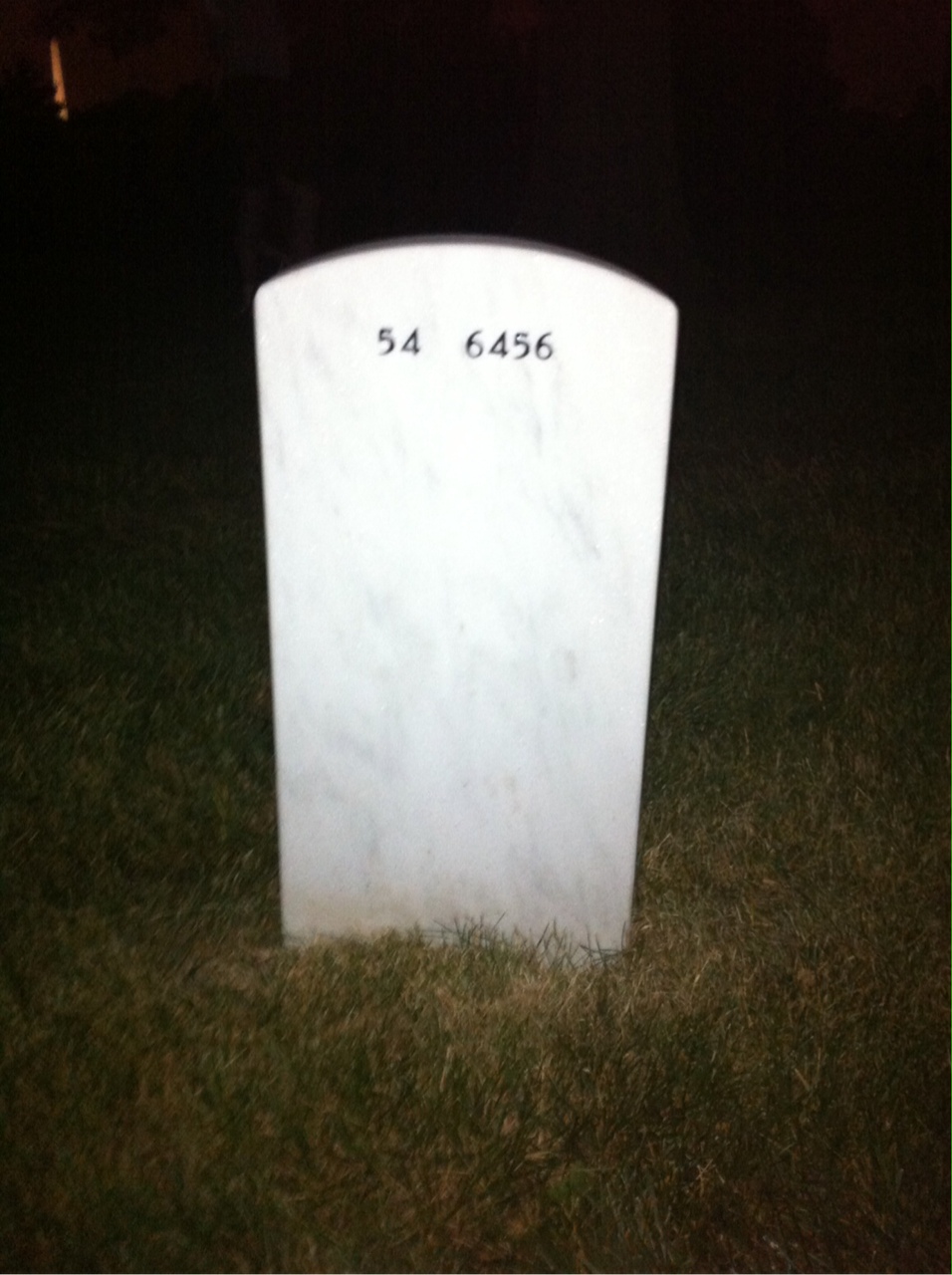 Back of headstone — Frances Reback