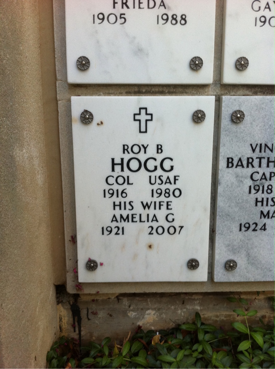 Roy Hogg